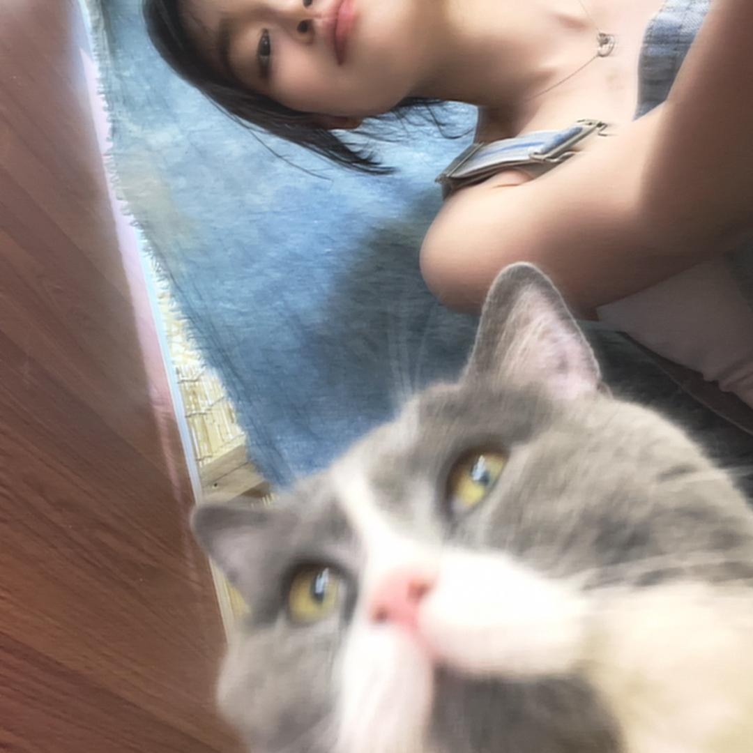 鹿鹿在吖