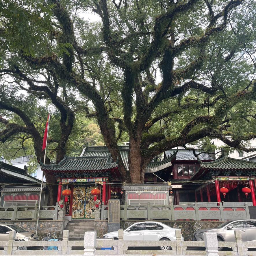 富婆婆牛奶绒四件套