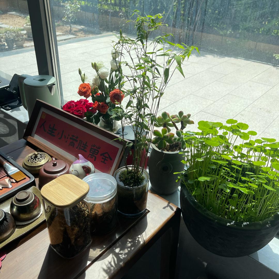 淘喜小院  （橱窗好物）