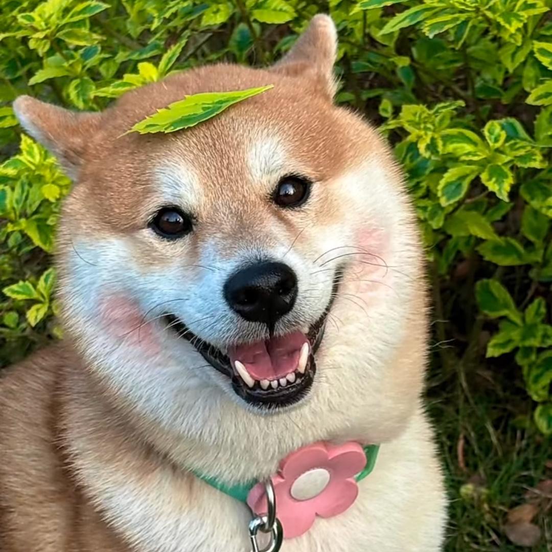 总感觉少个包10