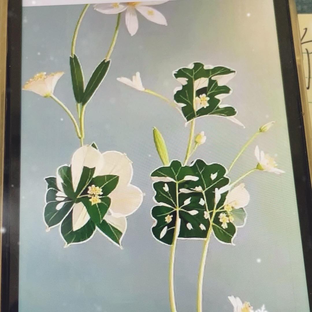 用户12000331038