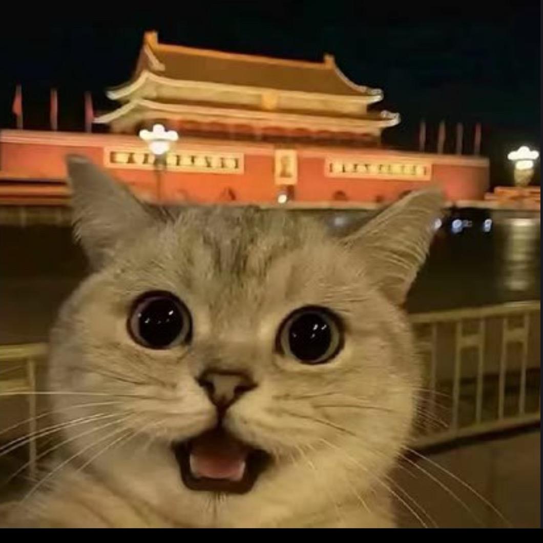 土豆🥔（三角洲代跑）