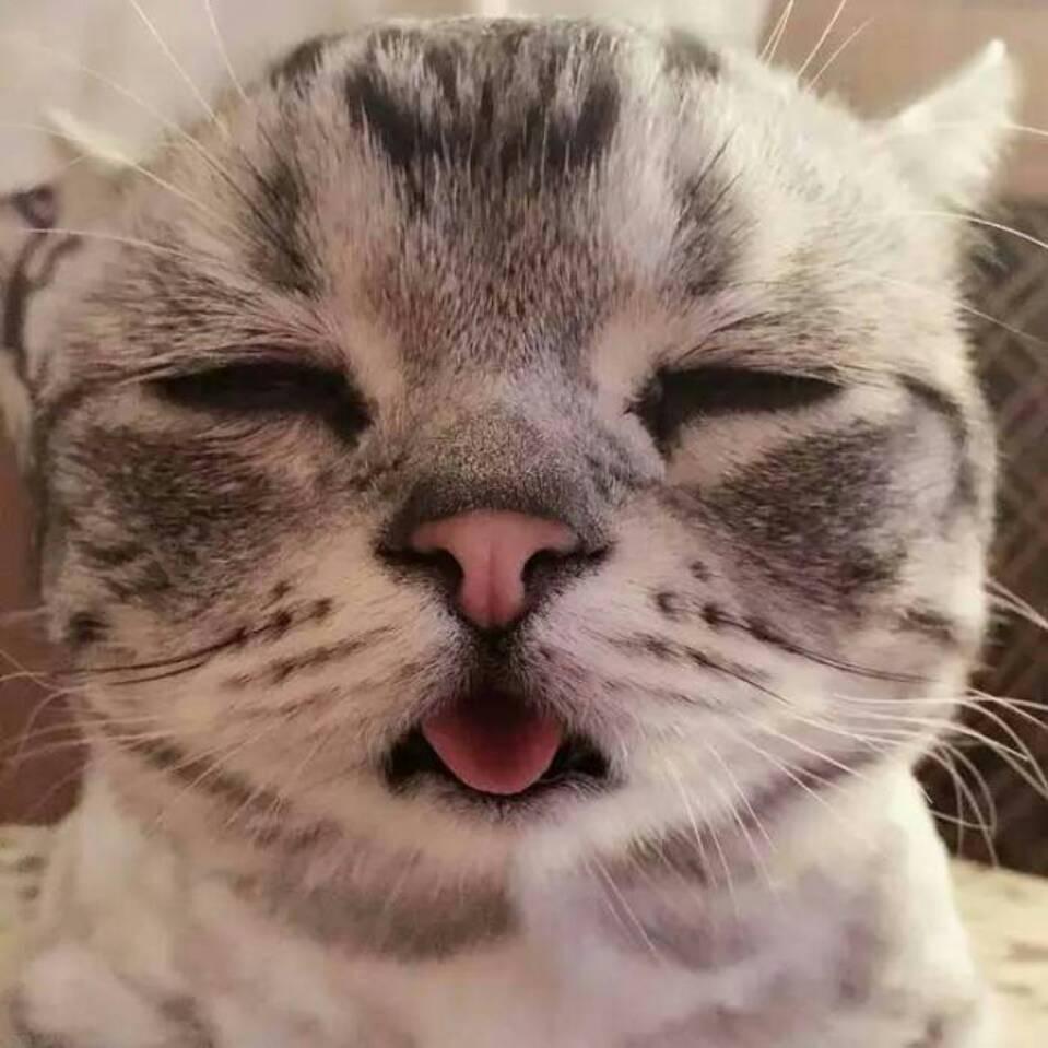 沉、默微笑 （摇钱之树）