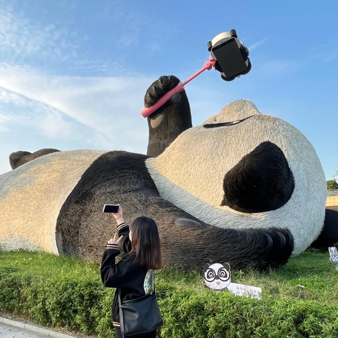 炒粉盖帽