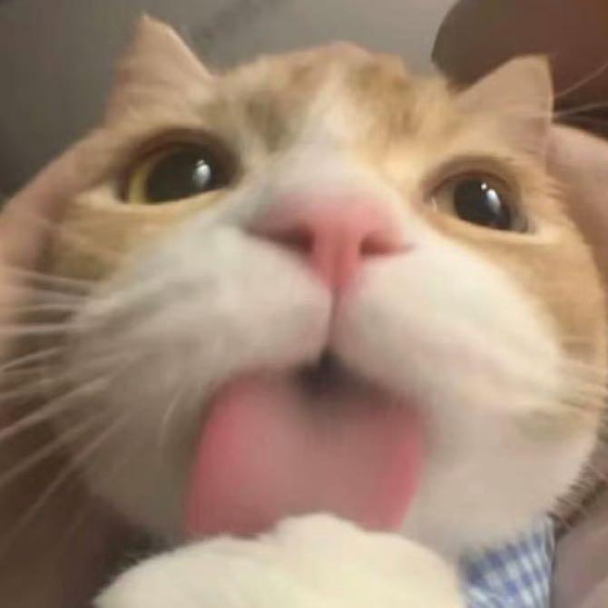 困鼠喽