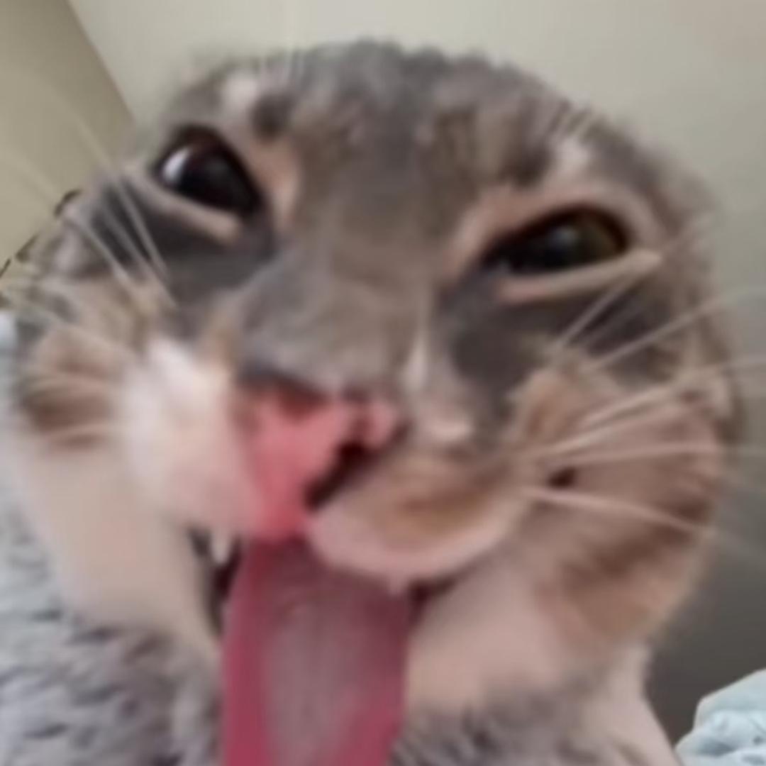 蟑螂卵拌饭大爆浆