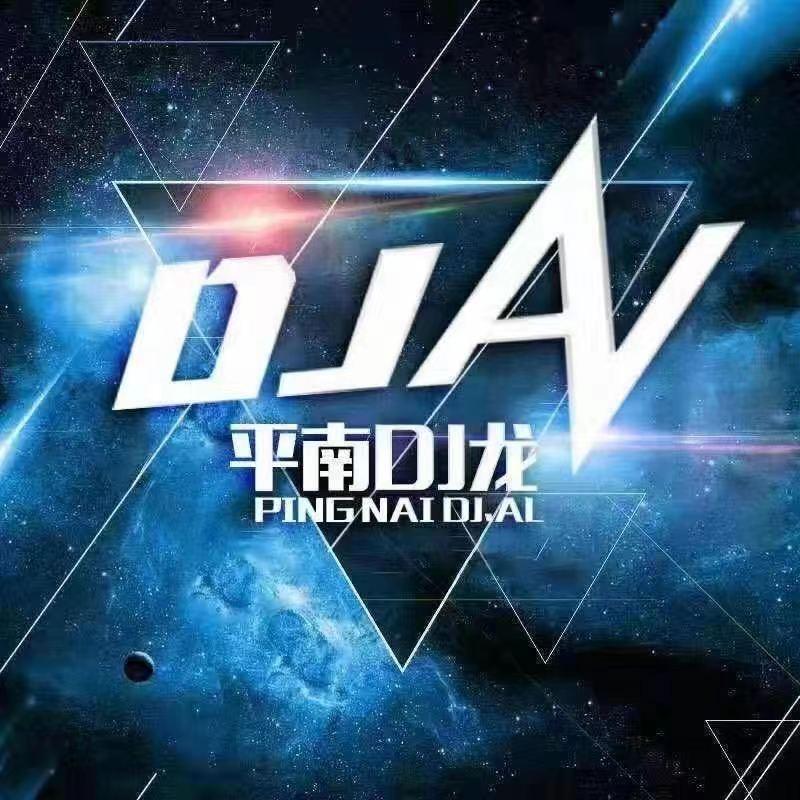 平南DJ龙