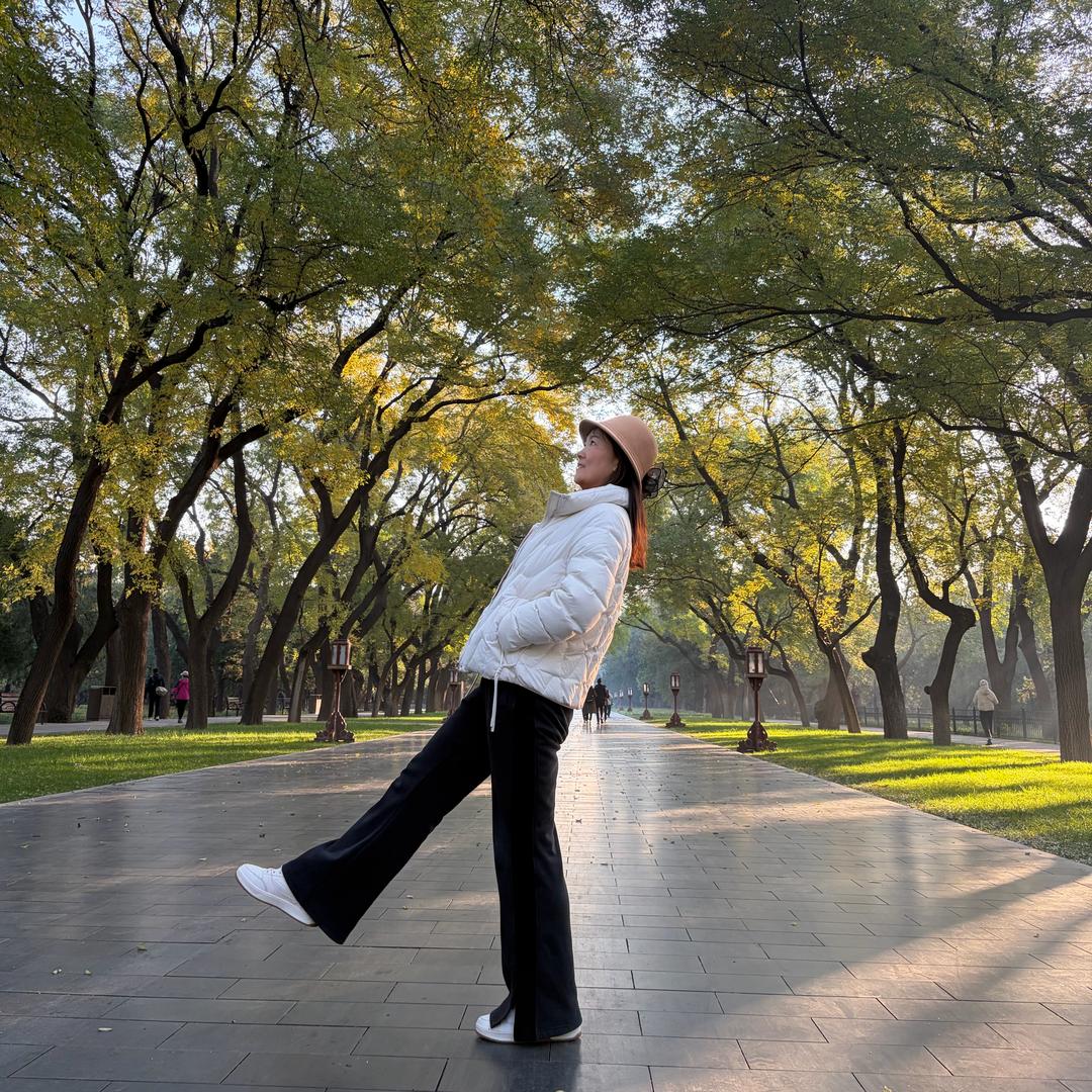 渭南豫姐1007（鸽子）