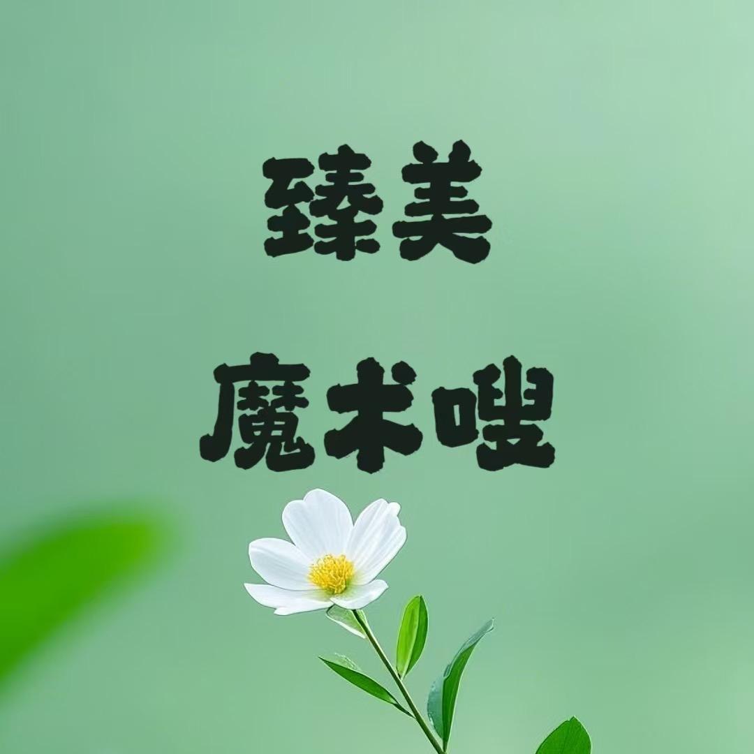 臻美魔术嗖