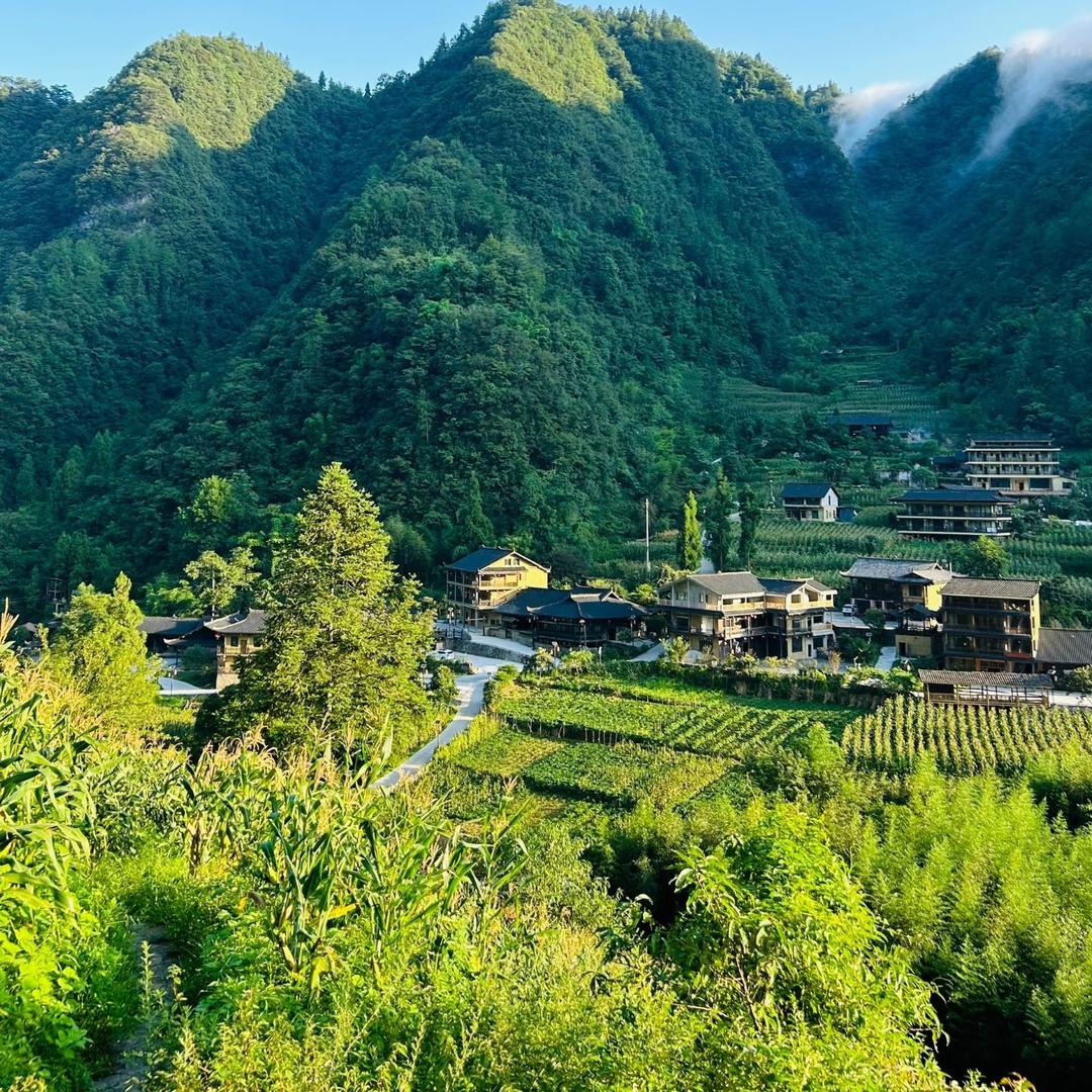 拾季蔬果园