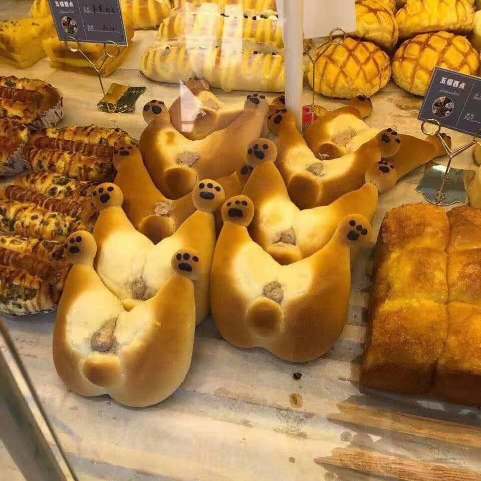 是铁甲小宝啊！