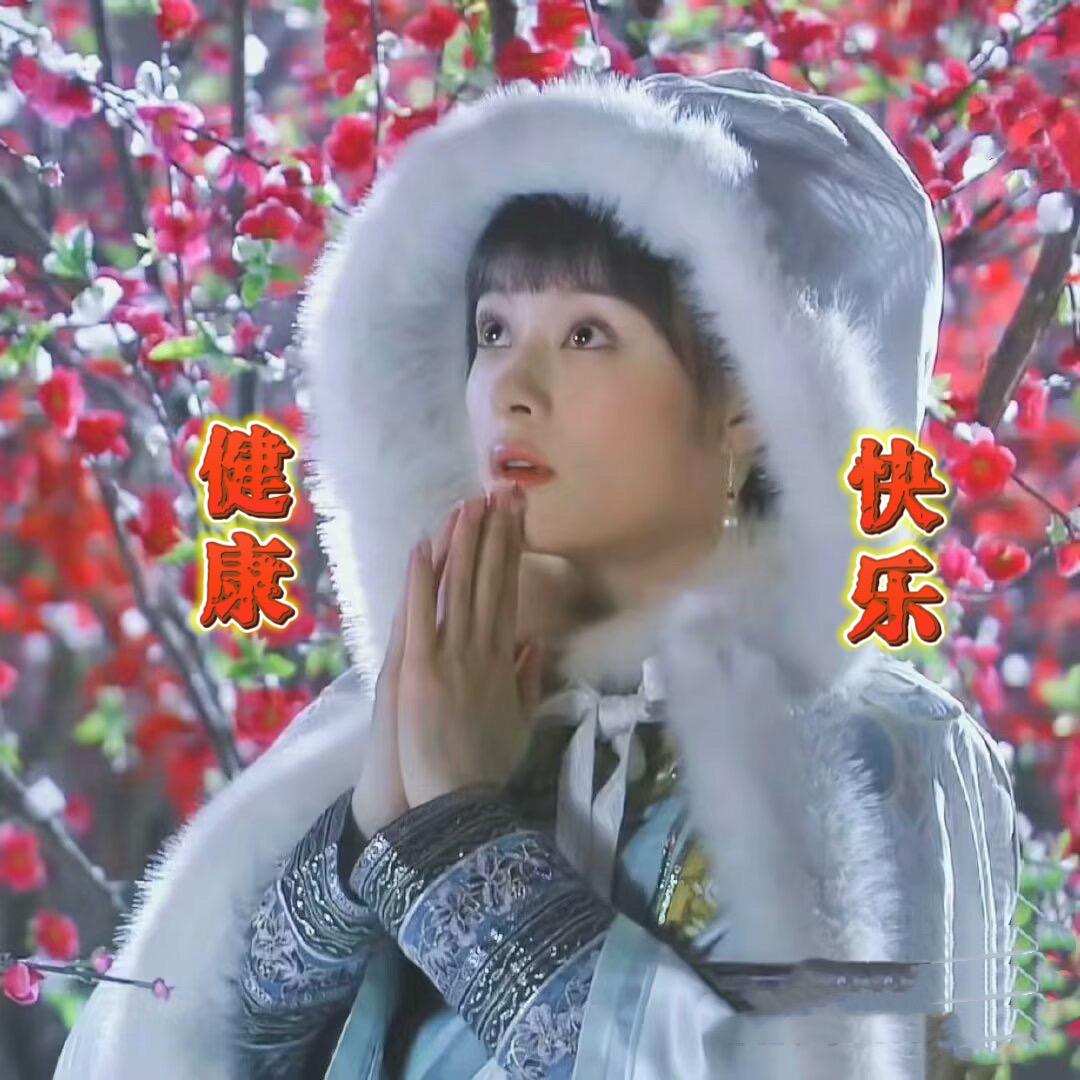 冯家屯一枝花