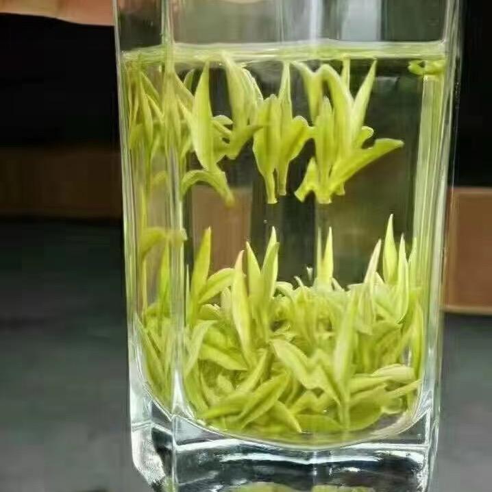 安吉超辉茶叶