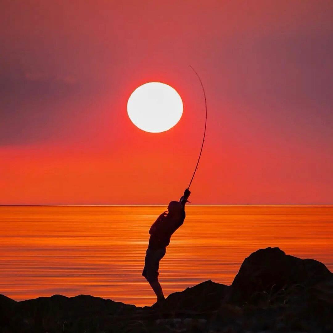 钓鱼佬宝藏🎣