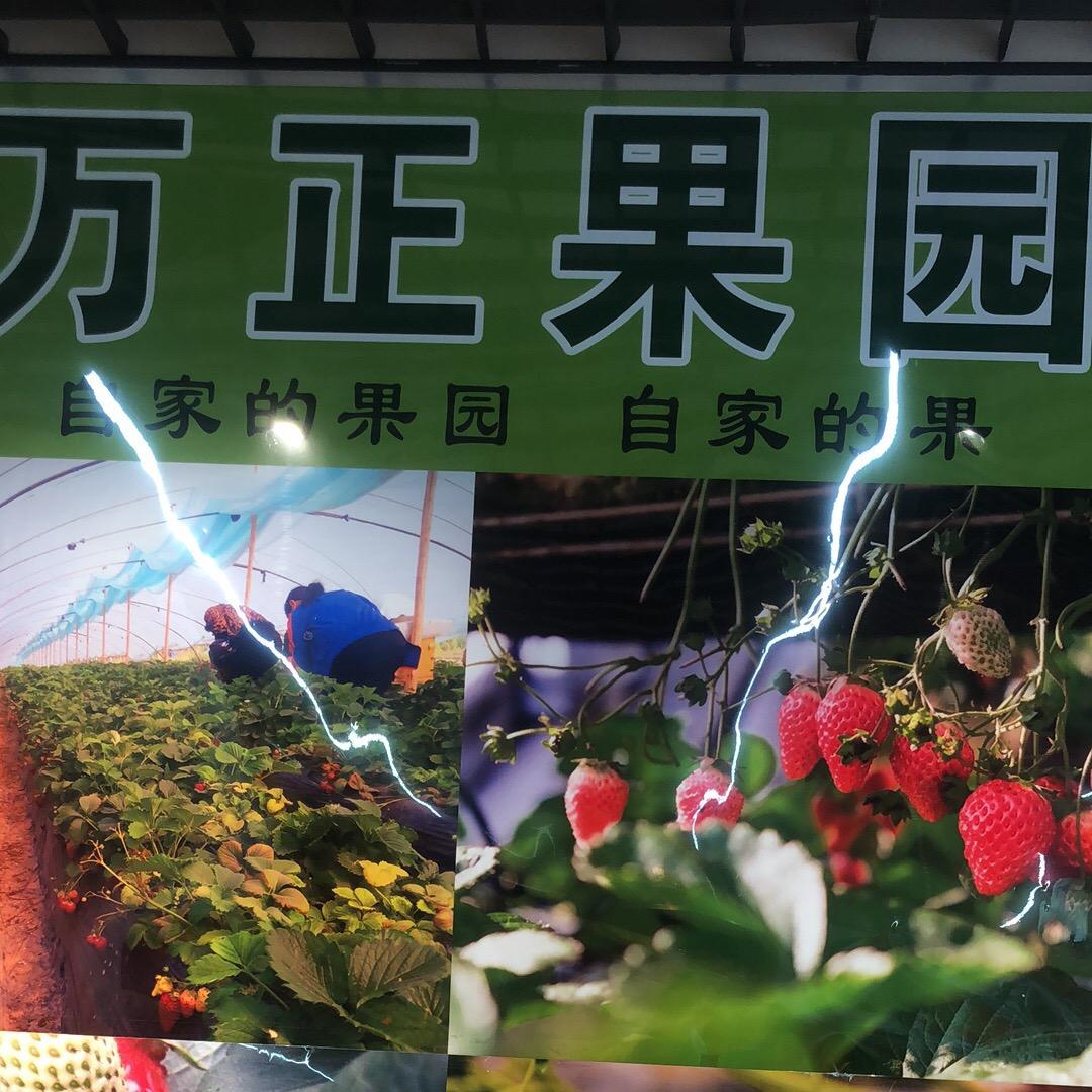 万正干鲜果