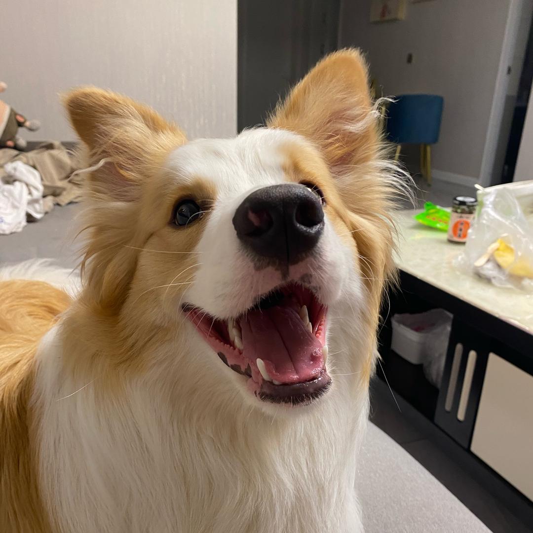 那个胖胖的同学