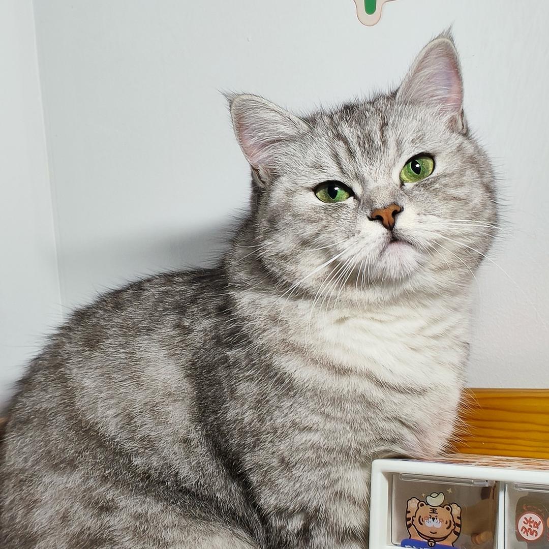 肉墩墩的百宝箱🌼