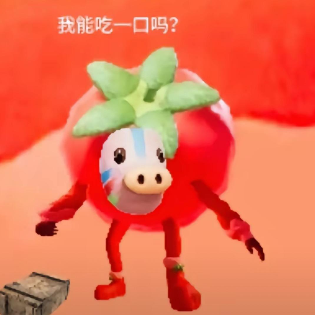 爱玩游戏的啥掉