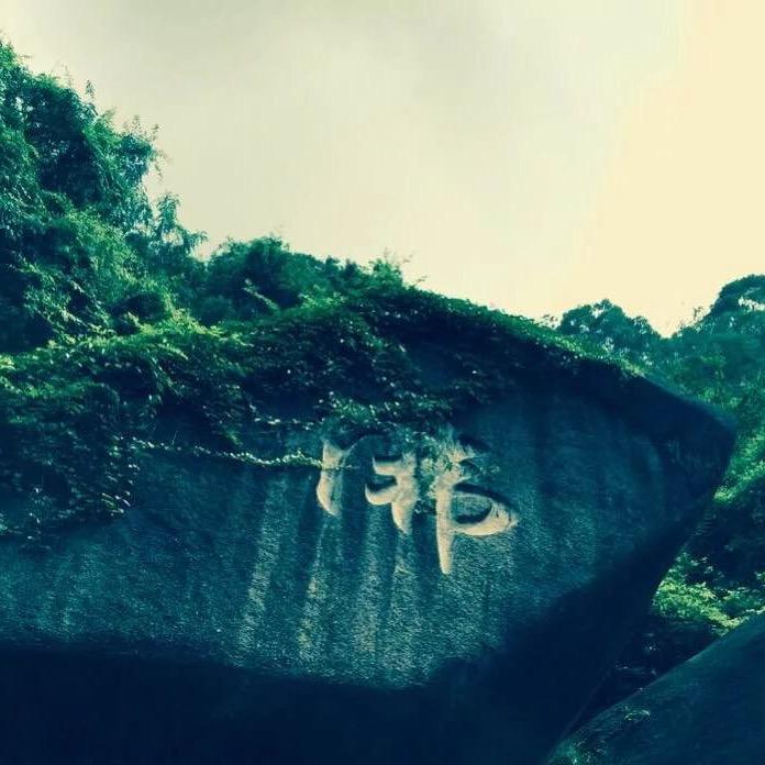 风景有你