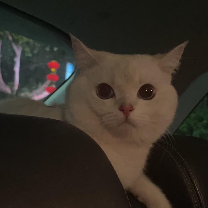 Sy