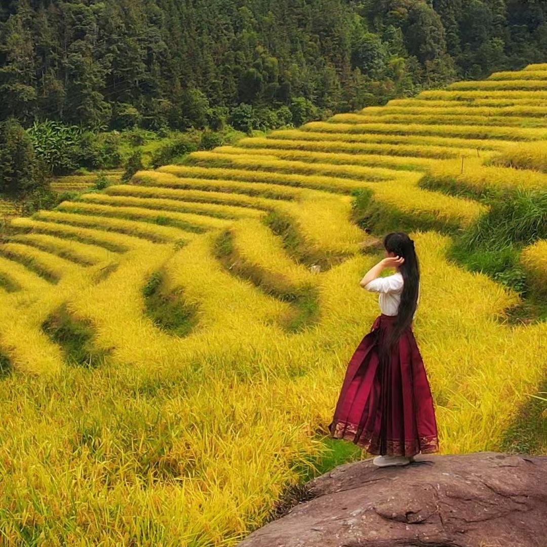 大写伍💕眼里的风景