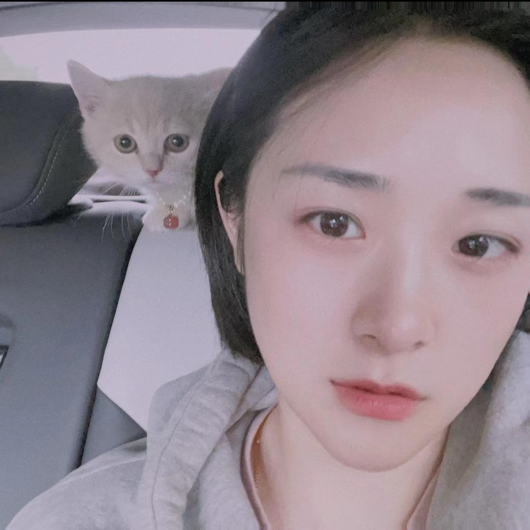 大橘猫（逆袭版）