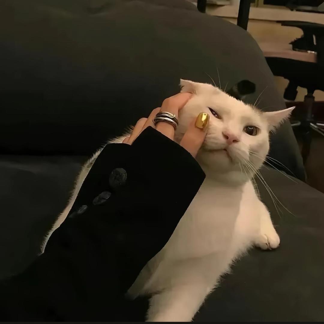 ˙Ⱉ˙ฅ邦邦两拳