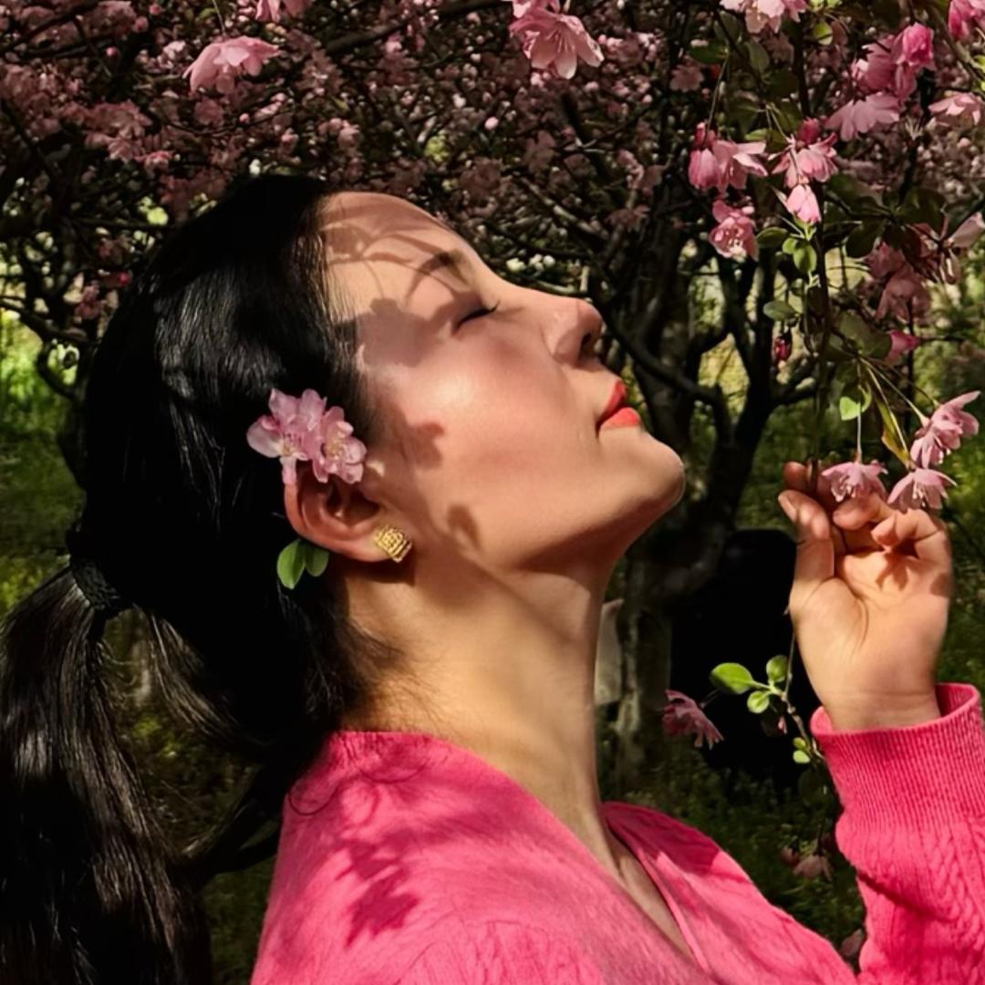 紫蝴蝶