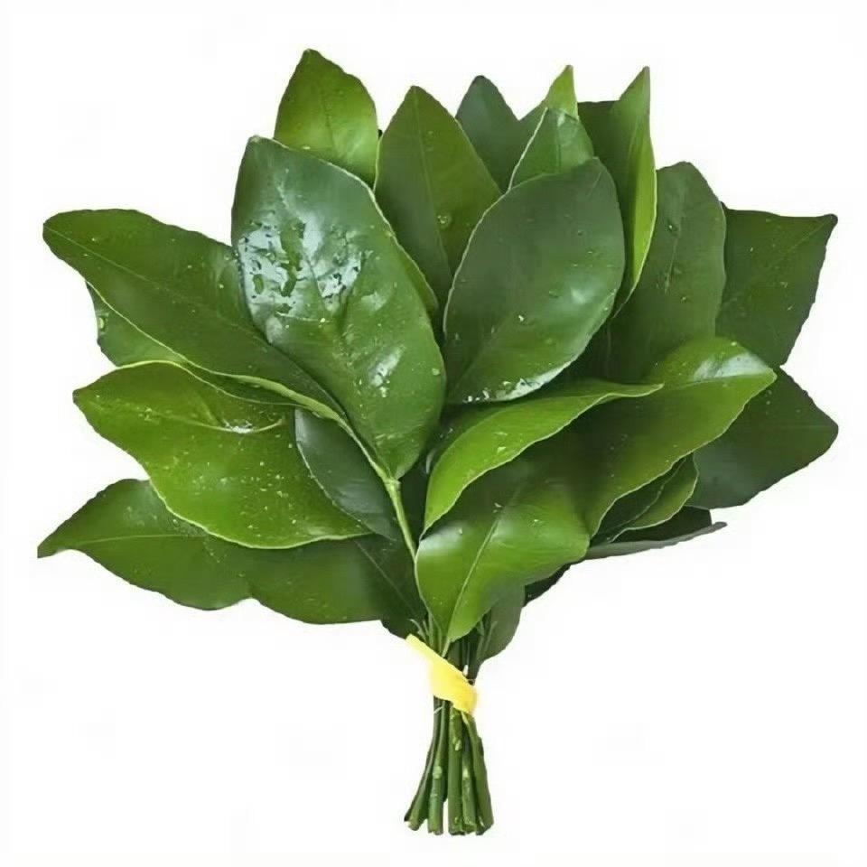 莓烦恼