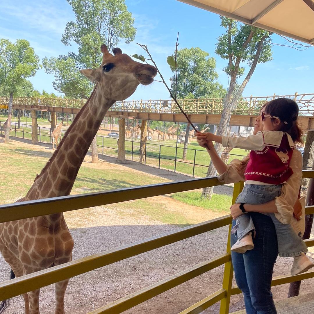 豆腐花王子浮浮