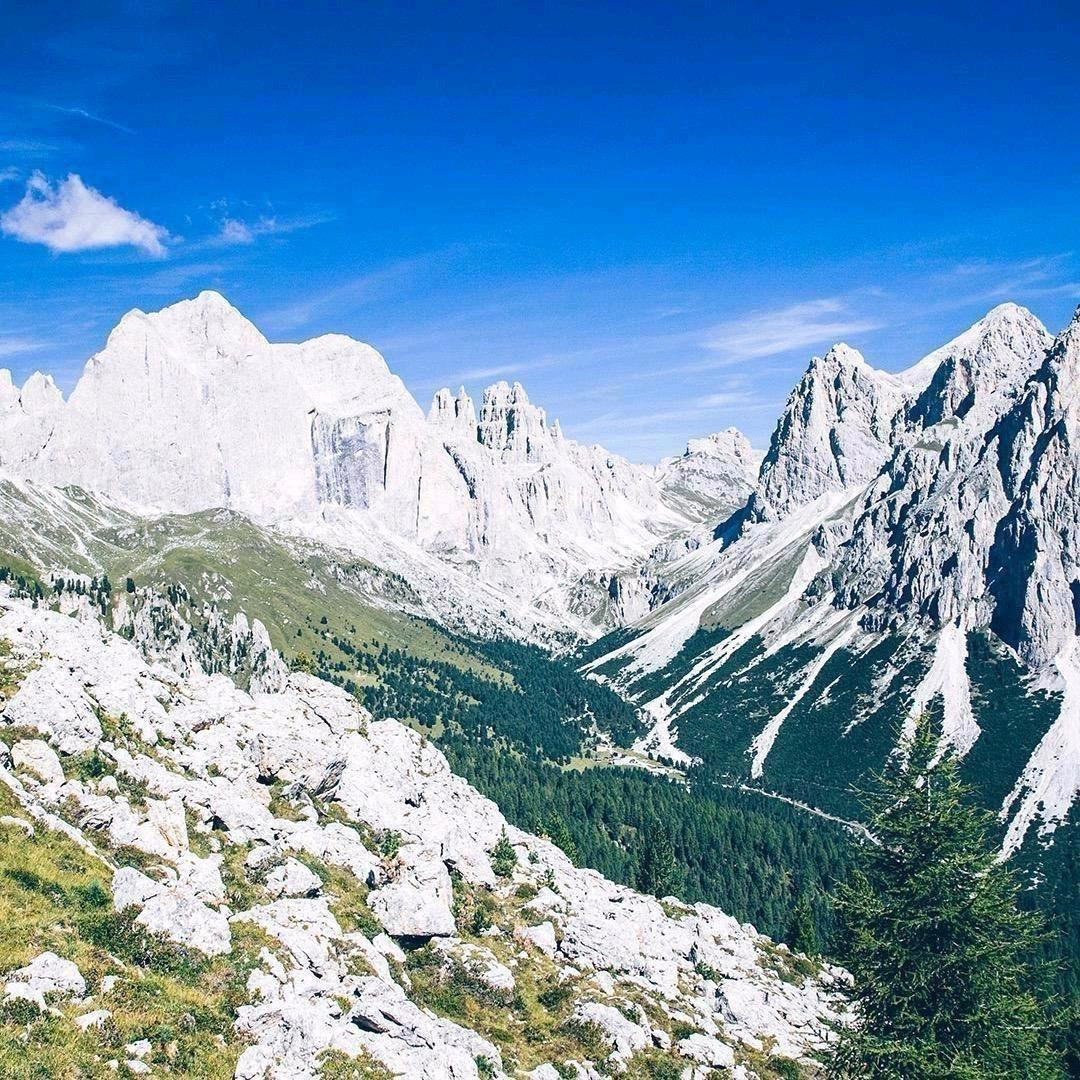 对方正在输入 。。。