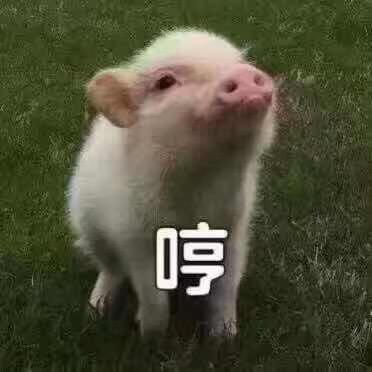 一个人挺好💔