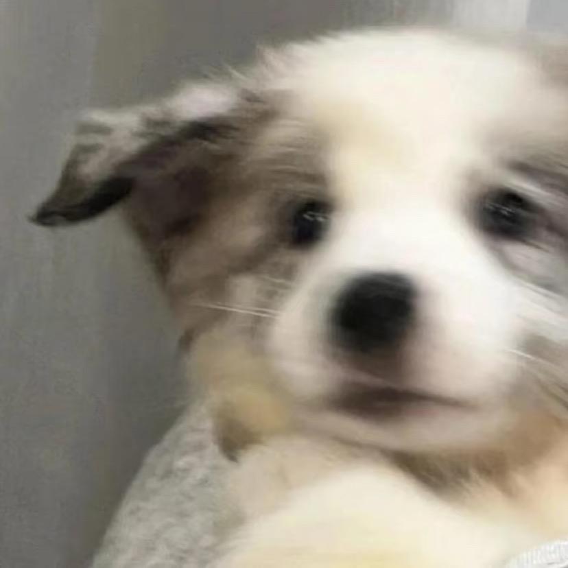 。.  。