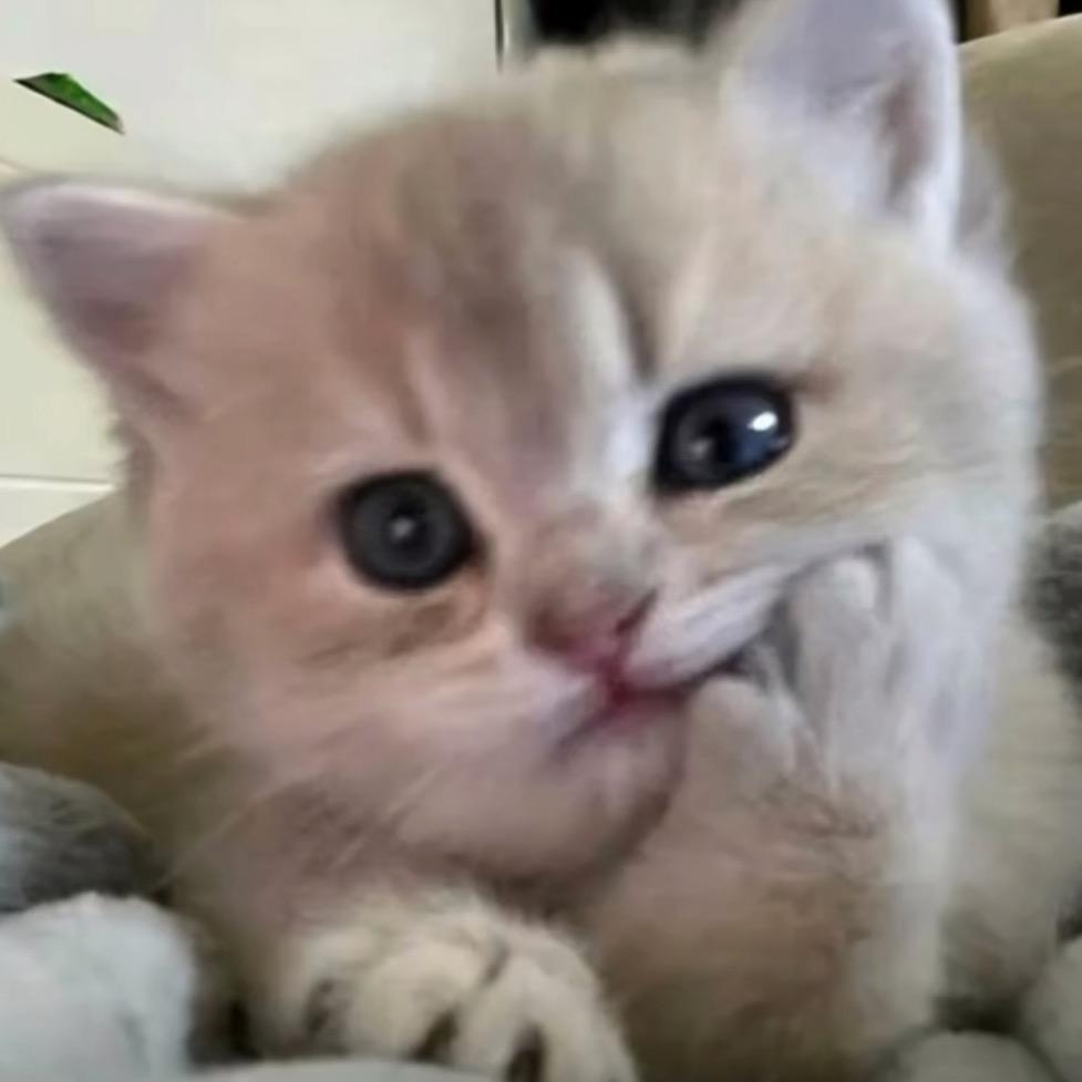 垚土土土'（发疯版