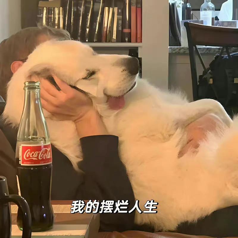 拥有光冲出黑暗