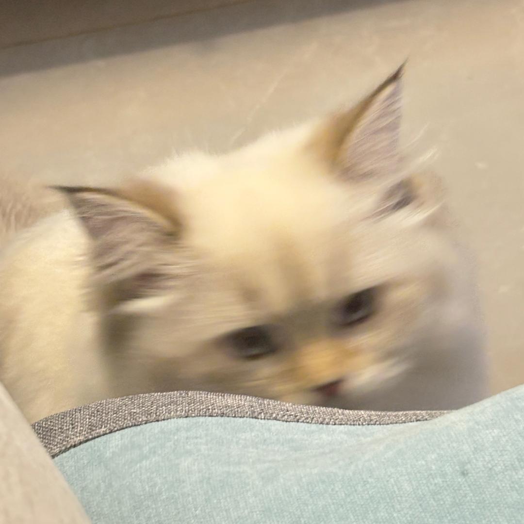 吃葡萄不吐葡萄皮