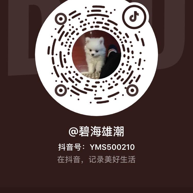 碧海雄潮