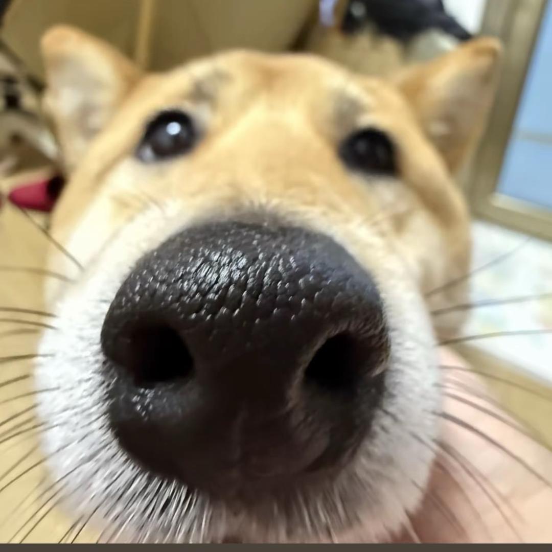 每天都赚一百万