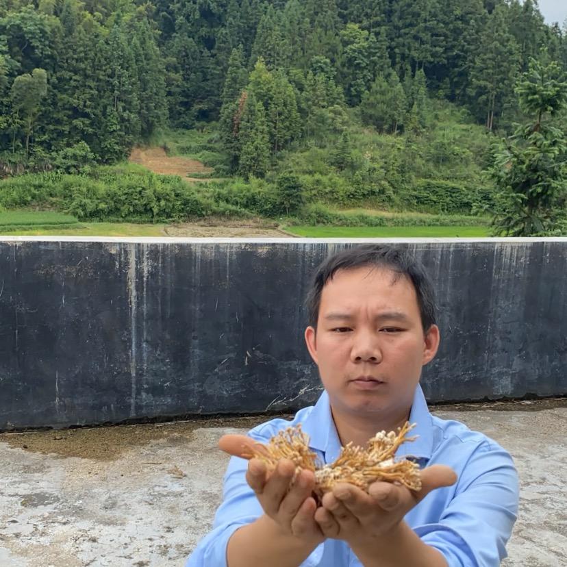 小鹏蝉花山货农产品