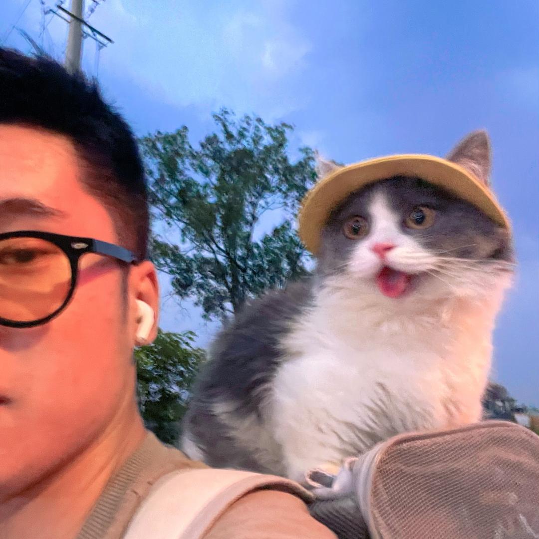 肩膀上的世界