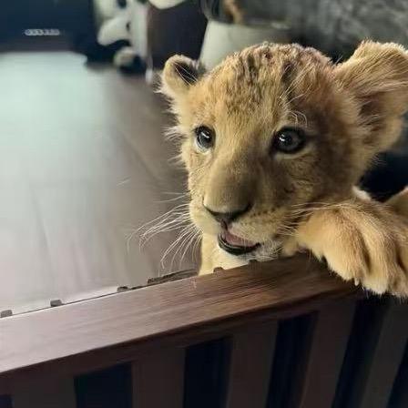 我爱咋样就咋样