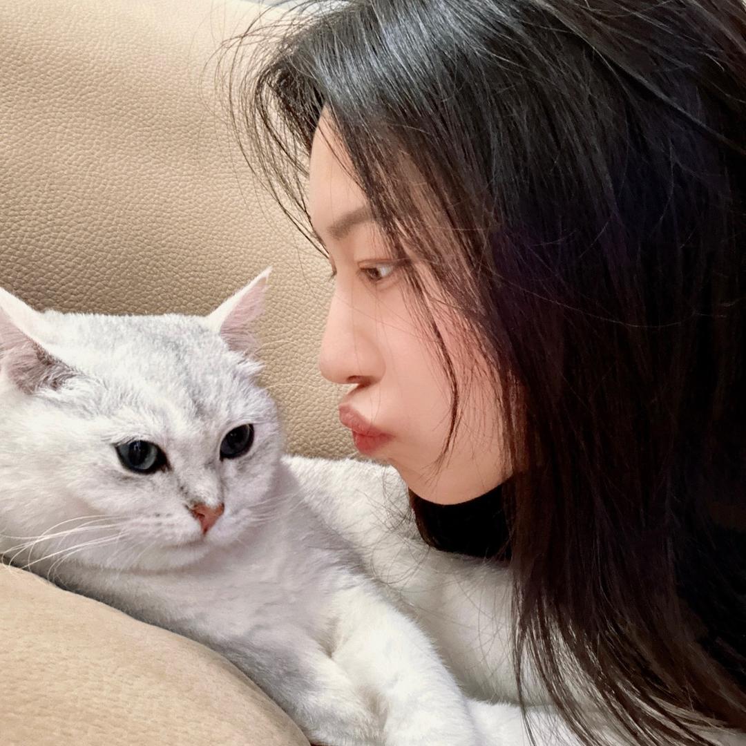 我的猫🐱