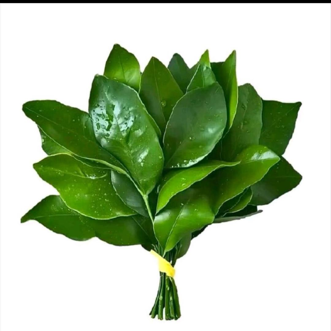 土豆大大王