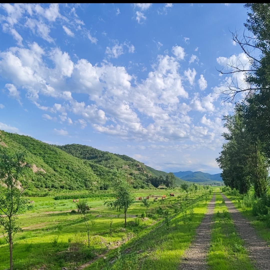 小小屿