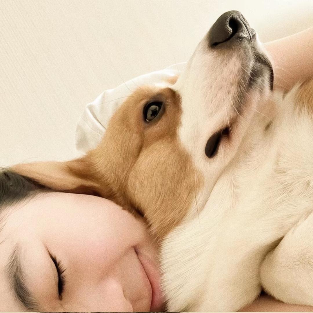 罐罐·