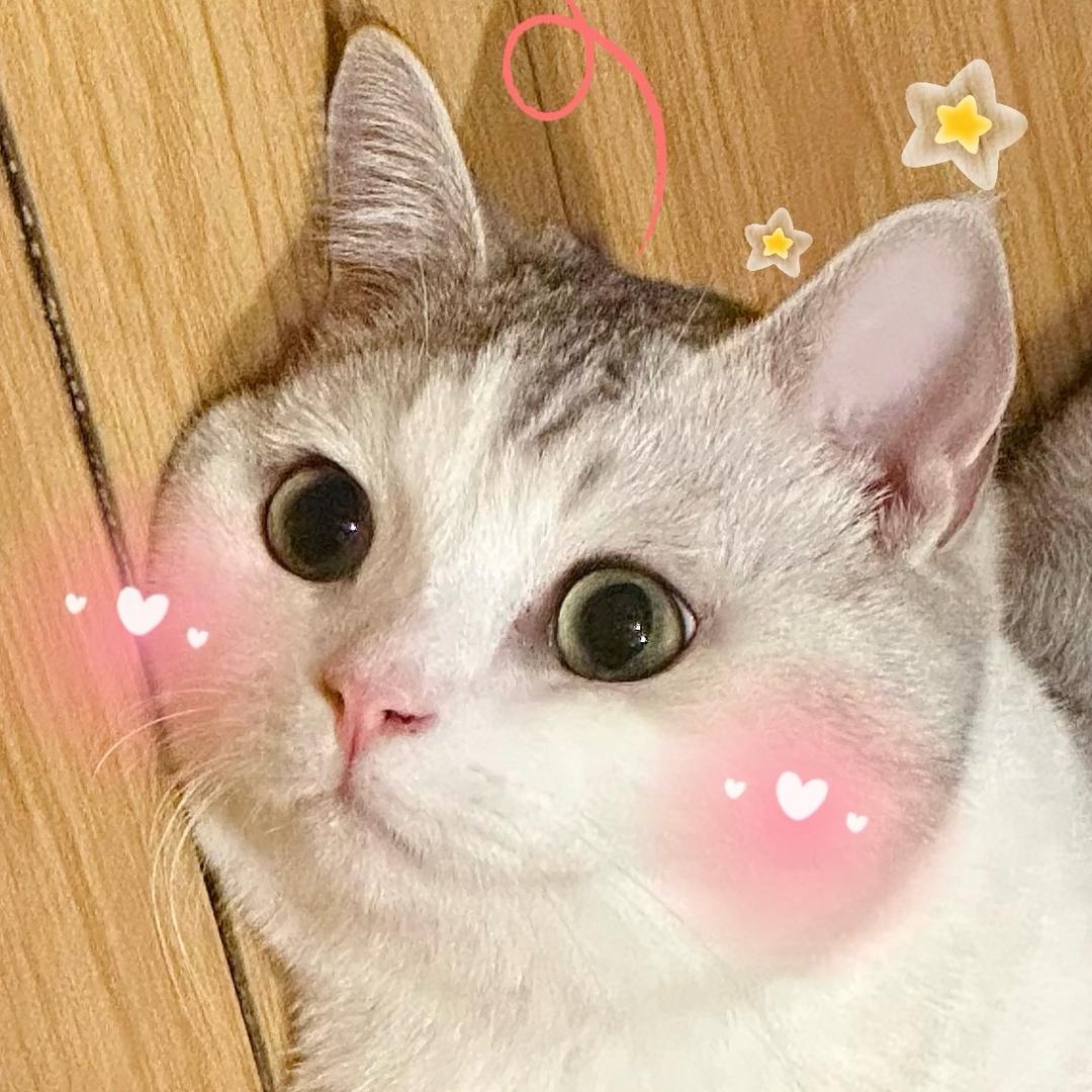 …