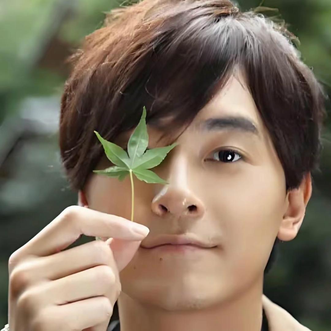 LL木木