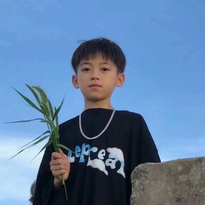 張洪鑫✔️