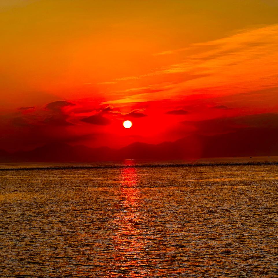 正在输入中………