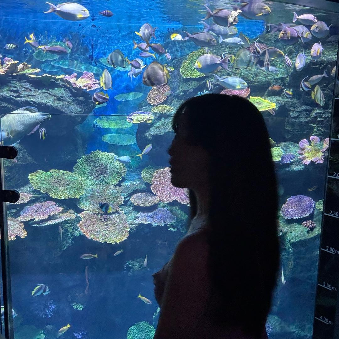 你们都是我老哥